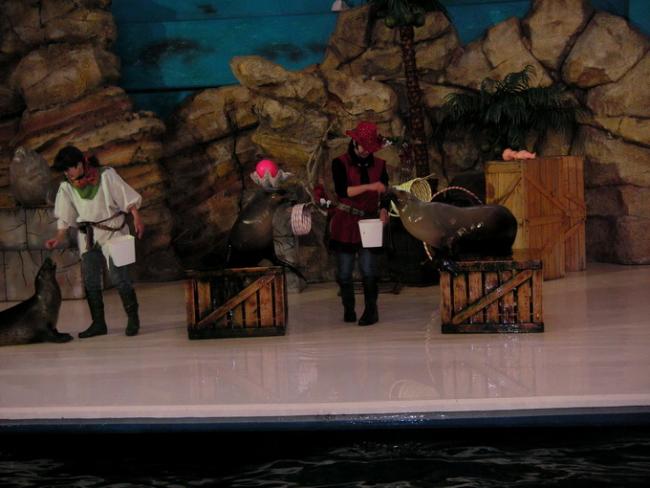PICT0039.jpg