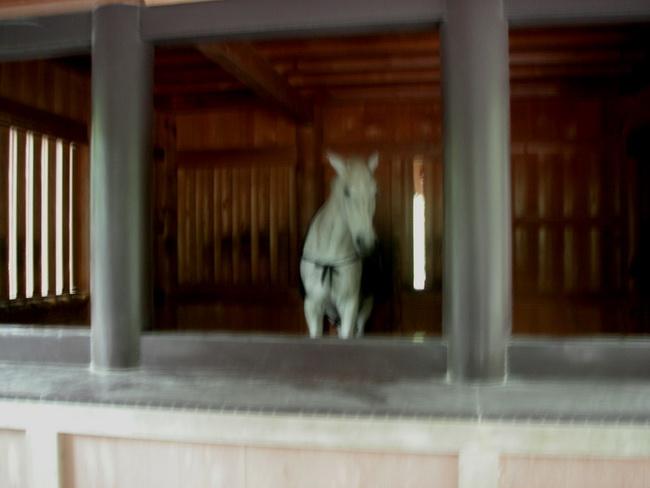 PICT0115.jpg