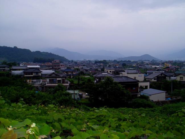 P7100253.jpg