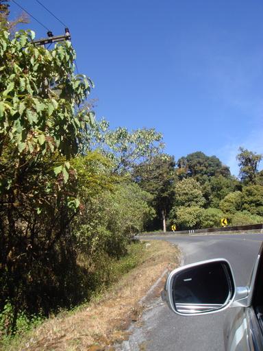 DSC05498.jpg