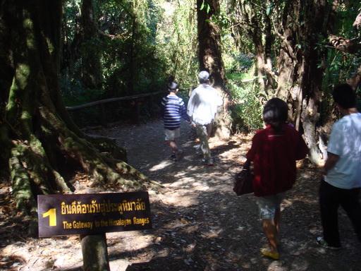 DSC05505.jpg