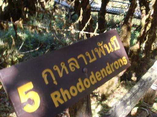 DSC05508.jpg