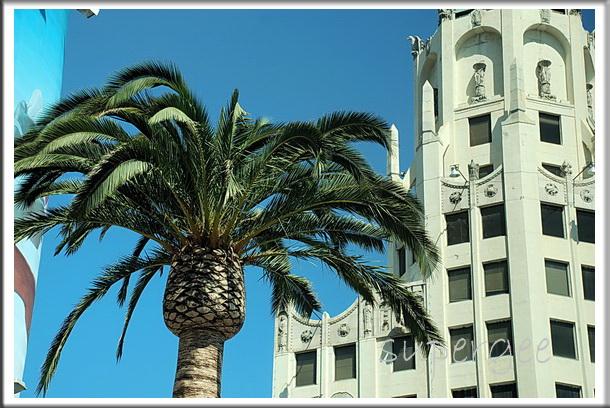 LA_074.jpg