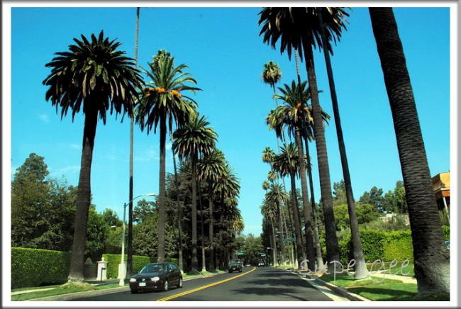LA_151.jpg