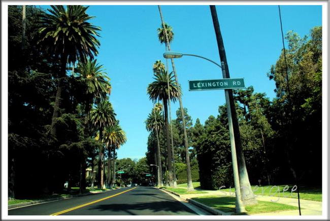 LA_152.jpg