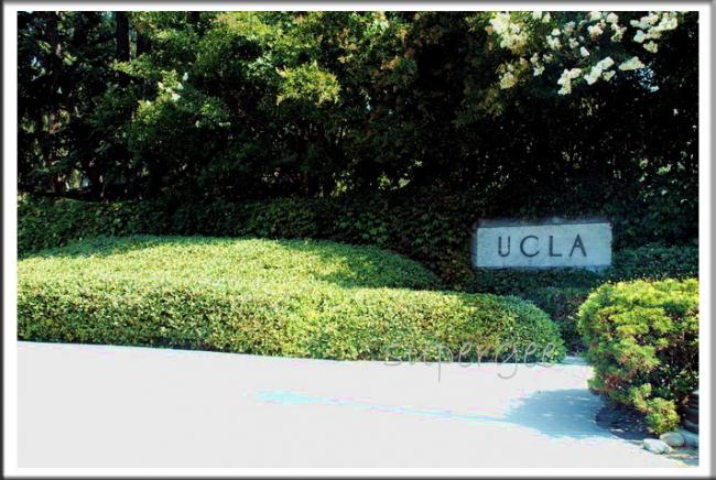 LA_154.jpg
