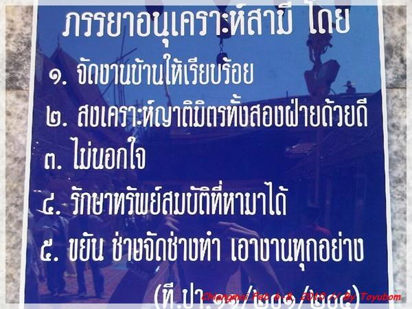 cnx46.jpg