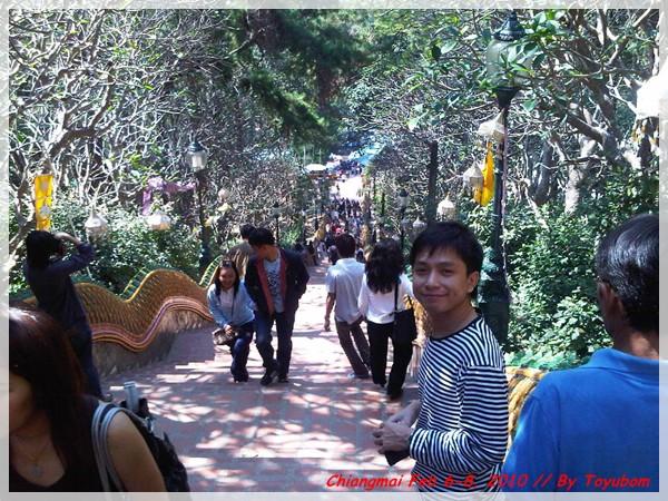 cnx48.jpg