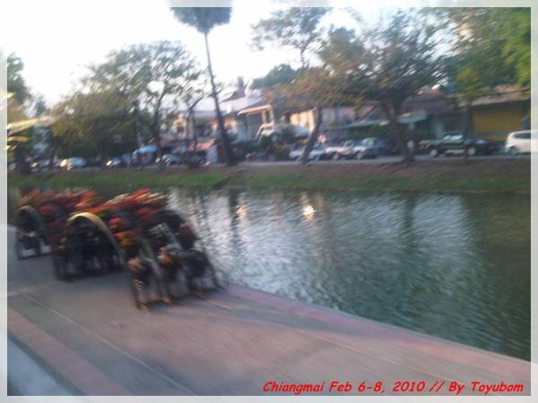 cnx155.jpg