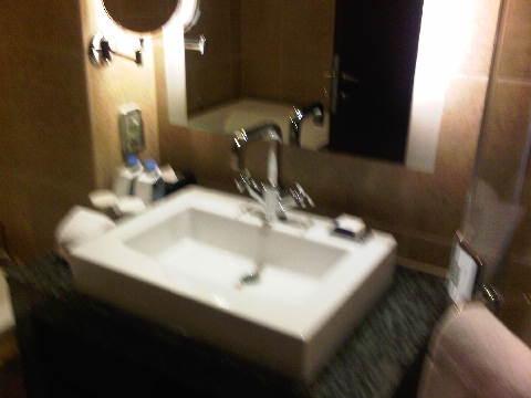 IMG00128-20100220-1709.jpg
