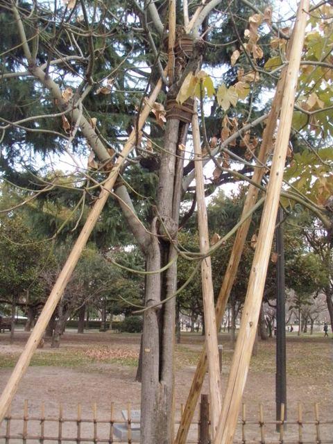 PC280102.JPG