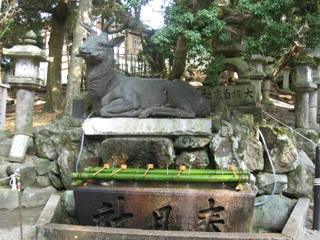 JAPAN 290.jpg