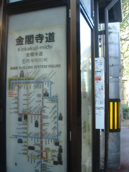 DSC03517.jpg