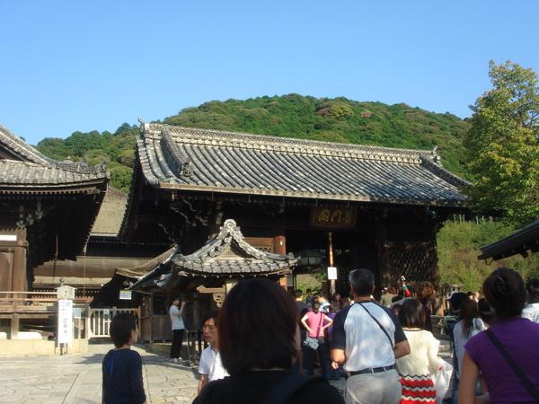 DSC03528.jpg