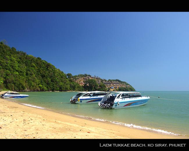tukkae01.jpg
