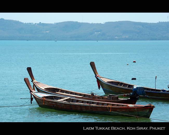 tukkae03.jpg
