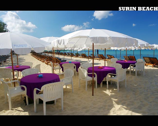 surin06.jpg