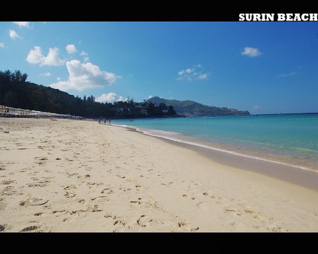 surin15.jpg