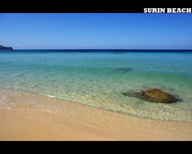surin17.jpg