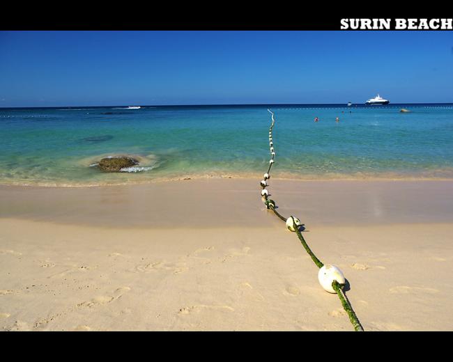 surin18.jpg