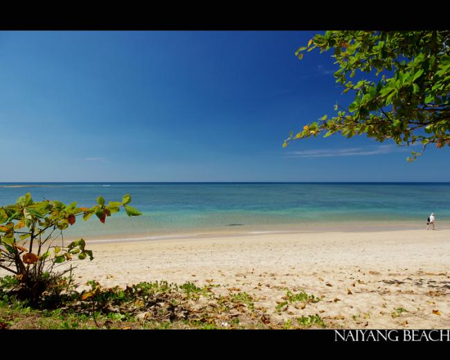 beach01.jpg