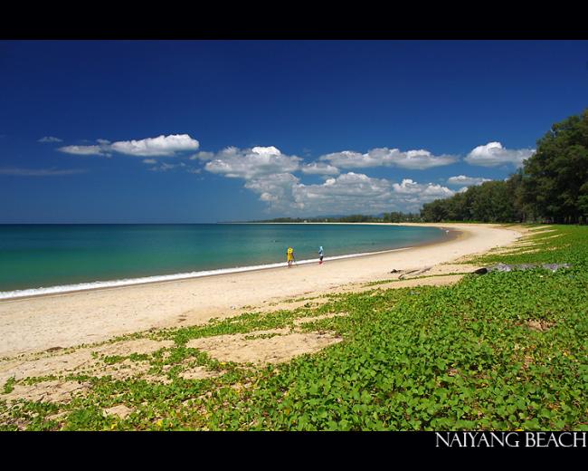beach08.jpg