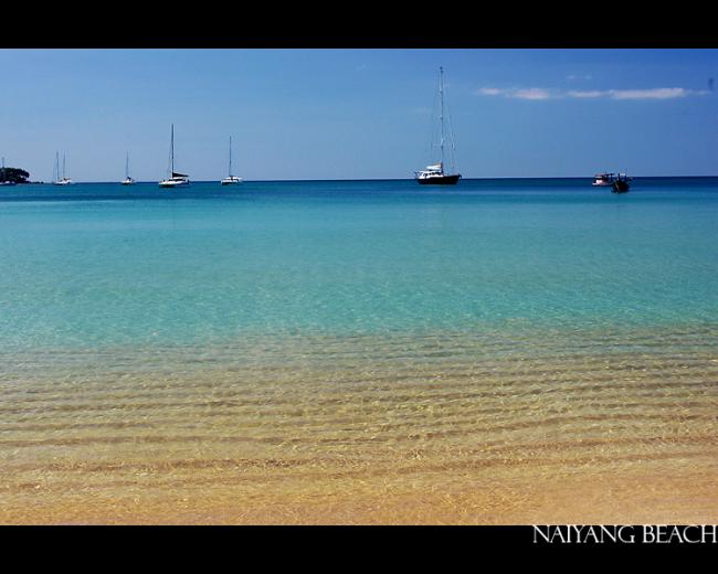 beach11.jpg