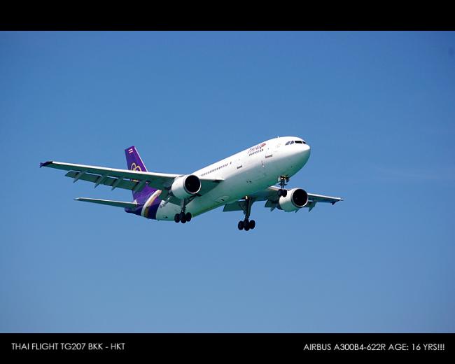tg207B.jpg