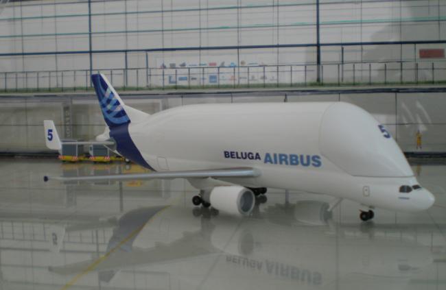 P2270002B.jpg