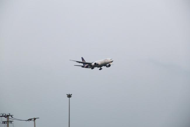 IMG_6990_resize.JPG