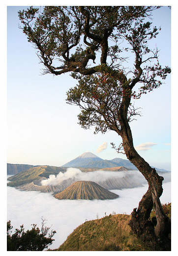 bromo.png