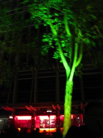 IMG_6613.jpg