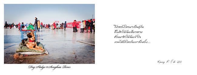 Harbin-8.jpg