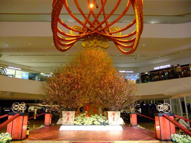 DSCF5440 (Small).JPG