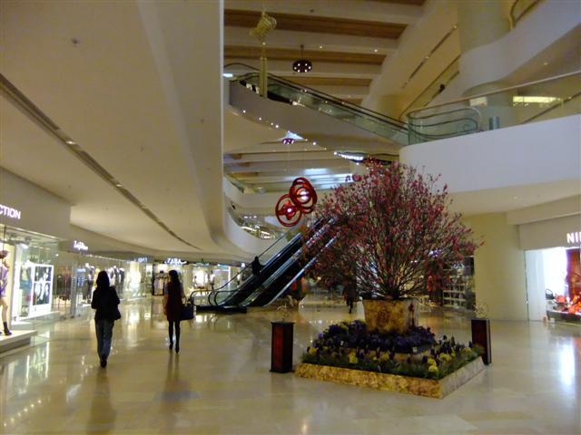 DSCF5442 (Small).JPG