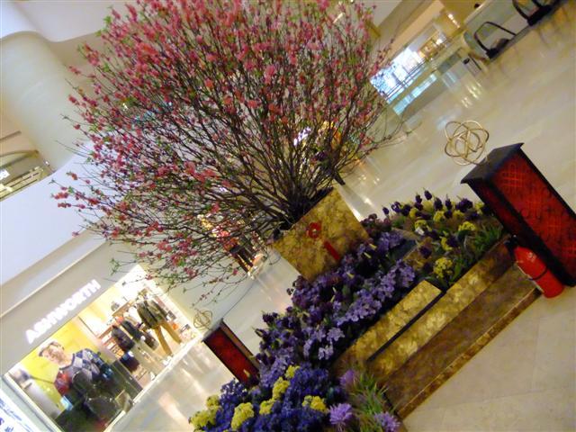 DSCF5443 (Small).JPG