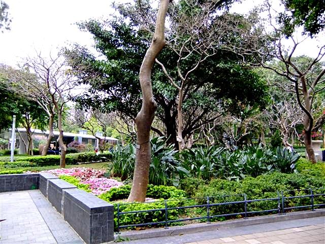 DSCF5425 (Small).JPG