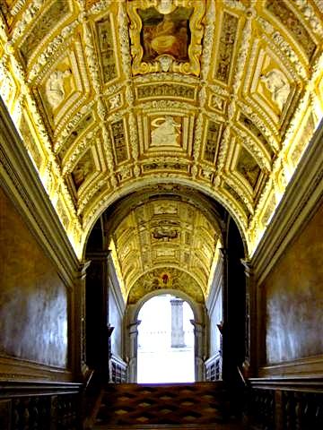DSCF3584 (Small).JPG