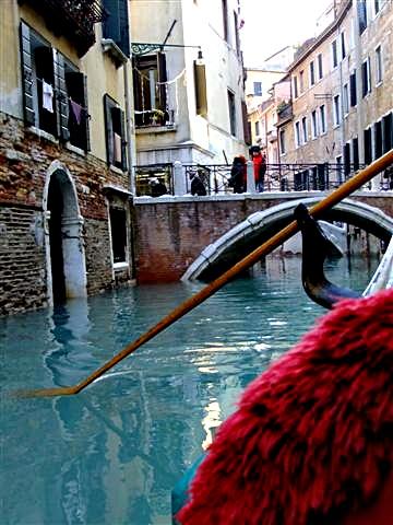 DSCF3756 (Small).JPG