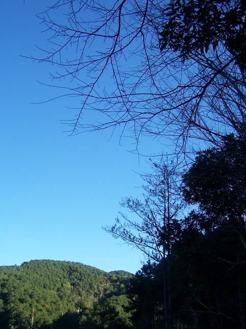 100_2146_resize.JPG