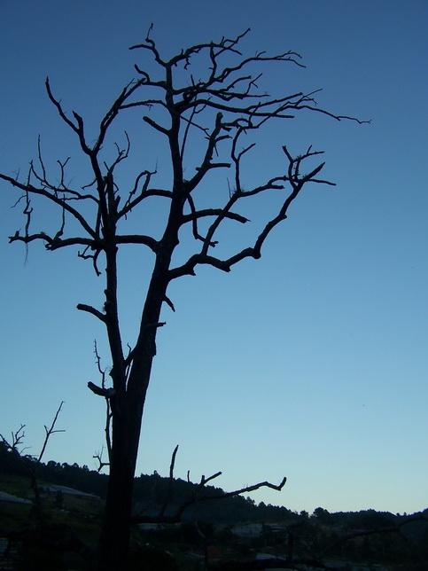 100_2192_resize.JPG