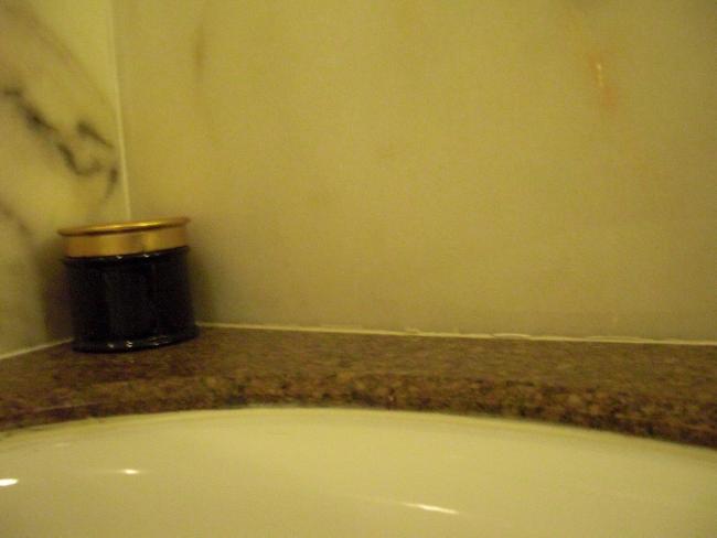 CIMG1362_resize_resize.JPG
