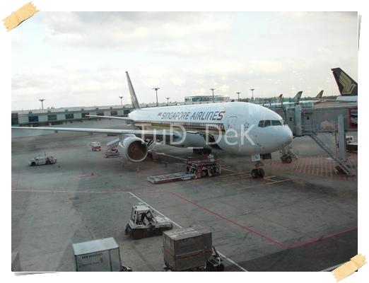 SGTCIMG2665 - Copy.jpg