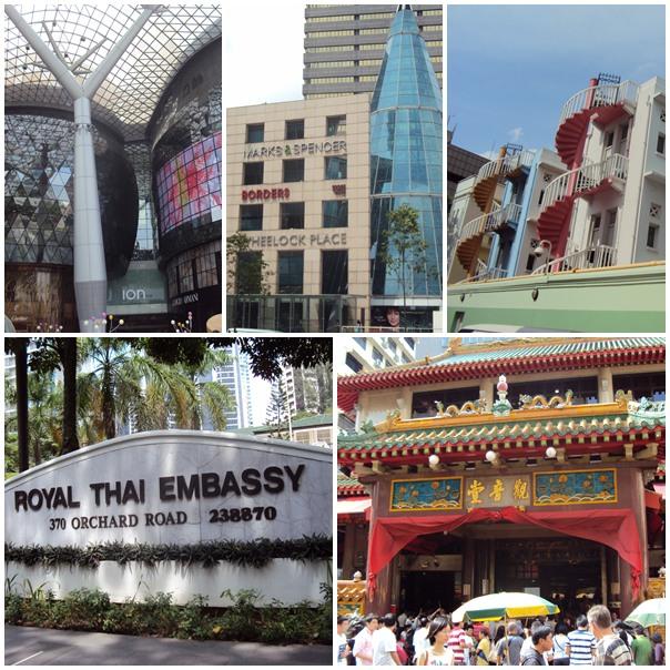 ภาพรวมวันสุดท้าย (orchard.jpg