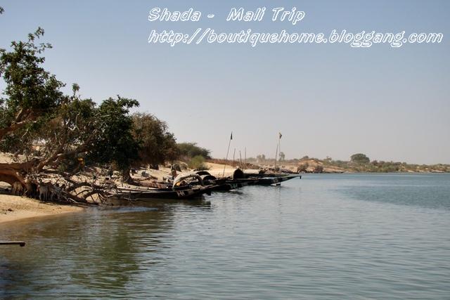 niger19.jpg
