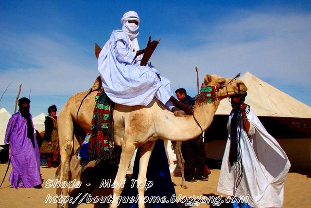 niger41.jpg