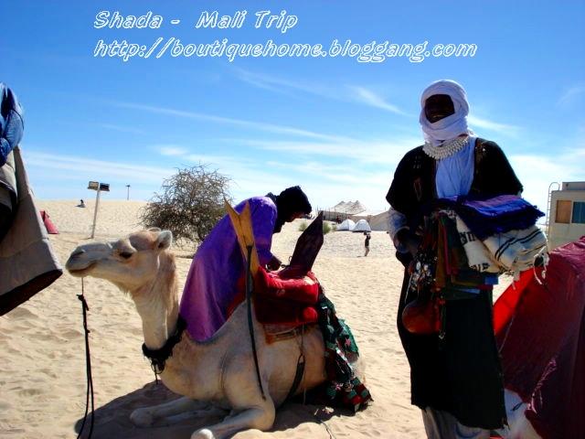 Niger rever6.JPG