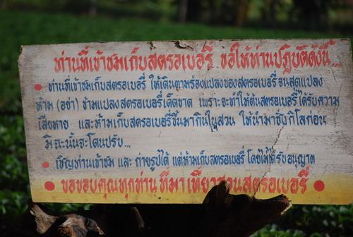DSC_0241aa.jpg