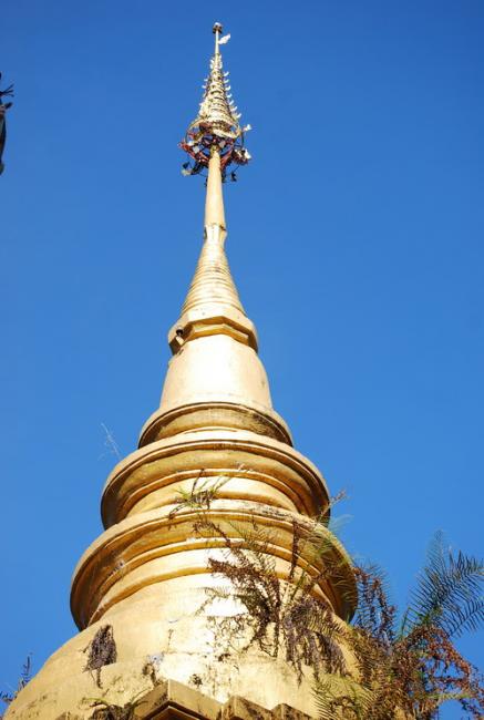 DSC_0380a.jpg