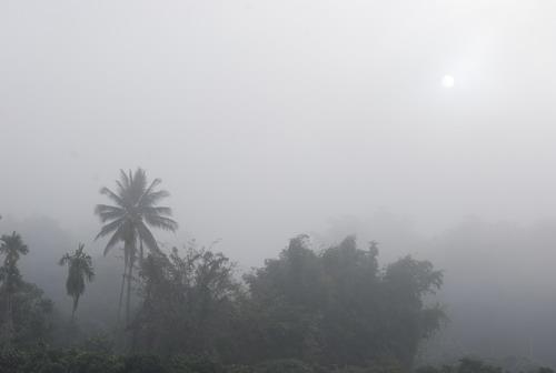 DSC_0532a.jpg